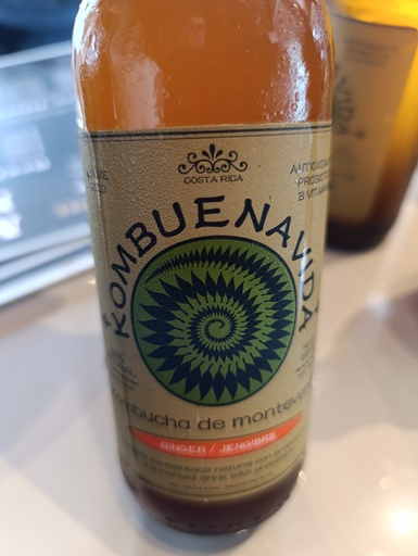 Kombucha Kombuenavida